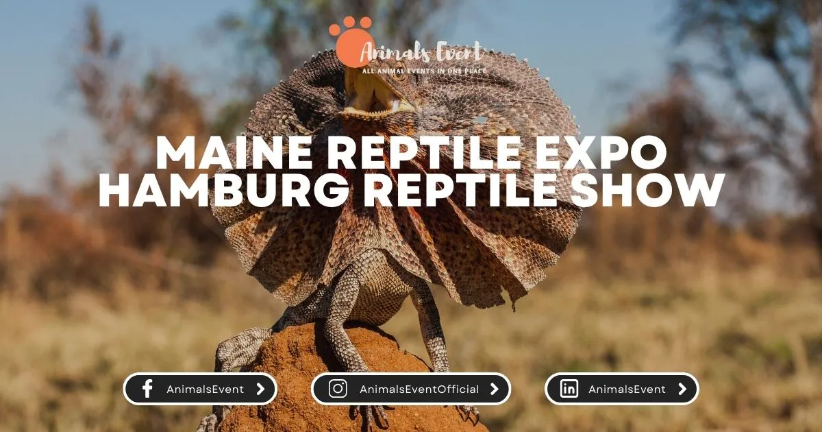 Maine Reptile Expo Hamburg Reptile Show