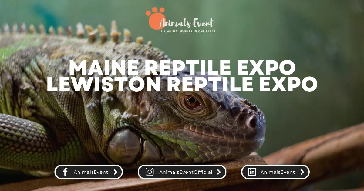 Maine Reptile Expo Lewiston Reptile Expo Animals Event