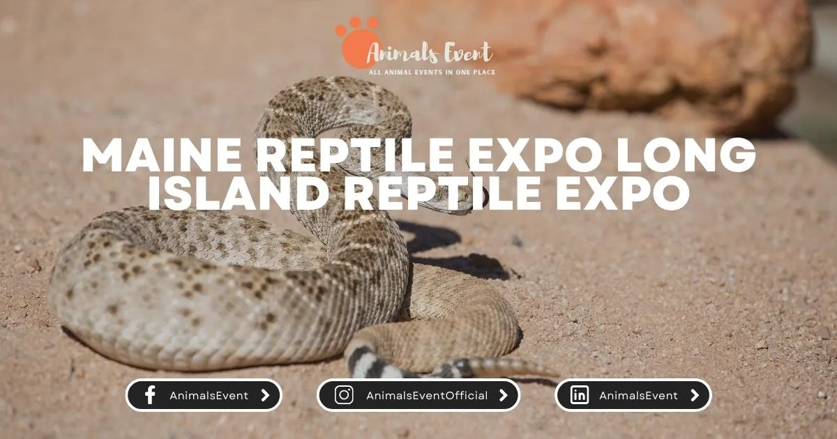 Maine Reptile Expo Long Island Reptile Expo Animals Event