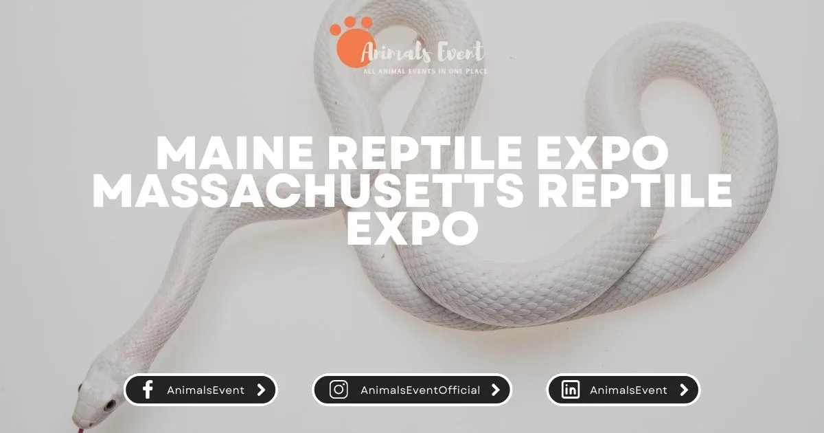 Maine Reptile Expo Massachusetts Reptile Expo