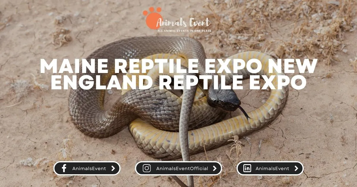Maine Reptile Expo NEW ENGLAND Reptile Expo
