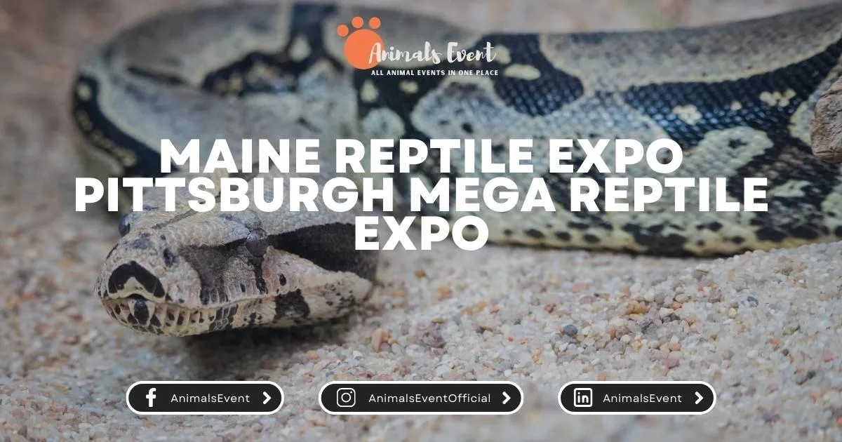 Maine Reptile Expo Pittsburgh Mega Reptile Expo