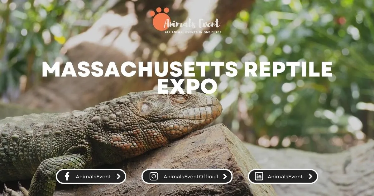 Massachusetts Reptile Expo
