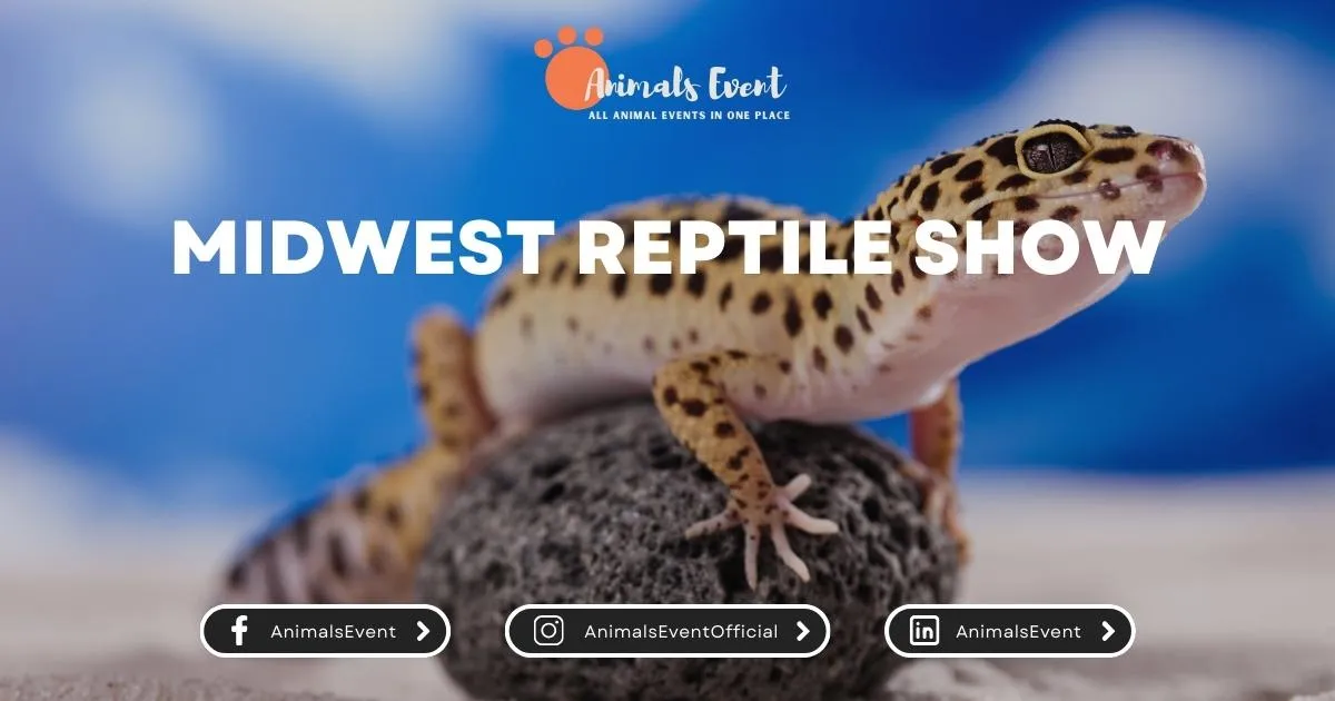 Midwest Reptile Show