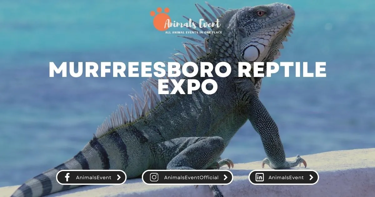 Murfreesboro Reptile Expo