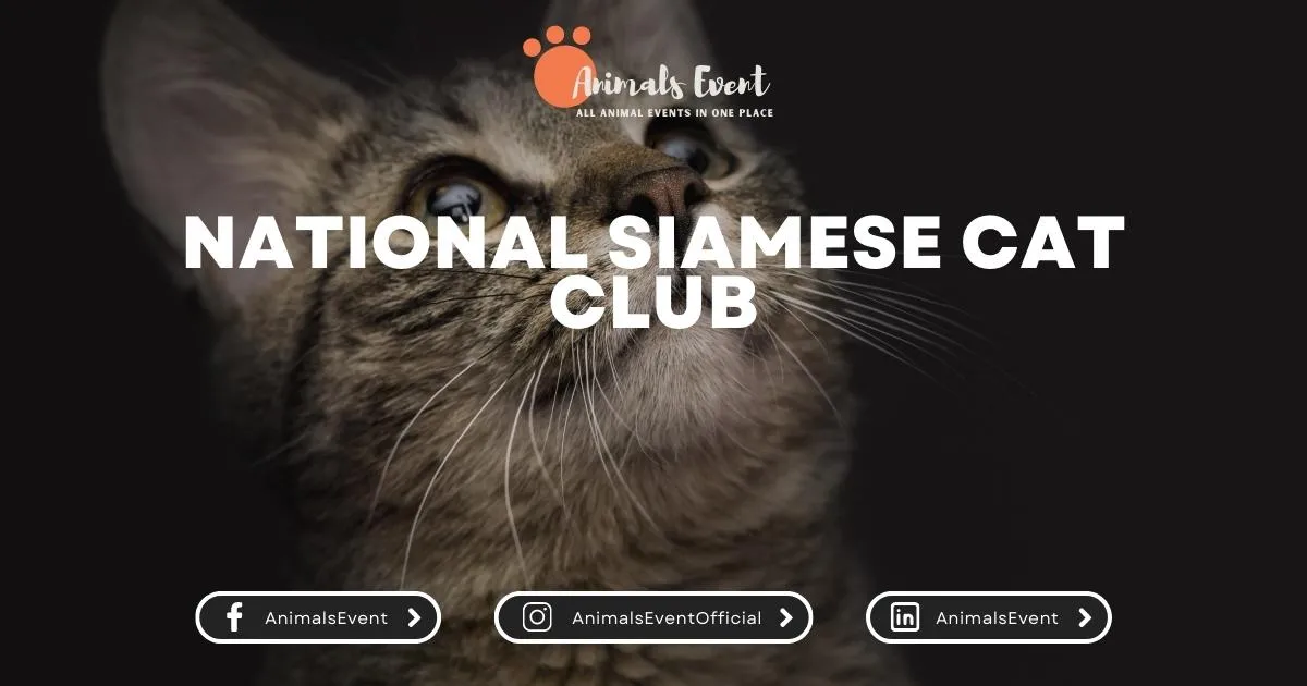 National Siamese Cat Club