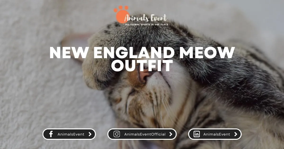 New England Meow Outfit