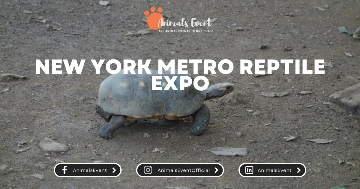New York Metro Reptile Expo