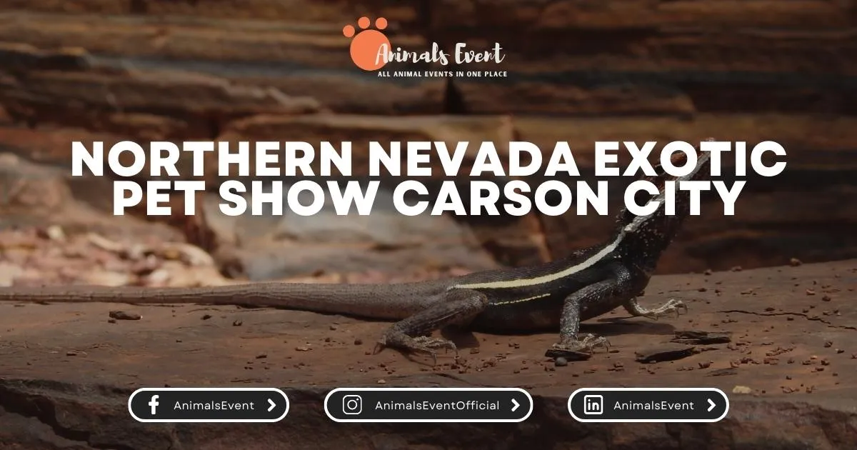 Northern Nevada Exotic Pet Show Carson City