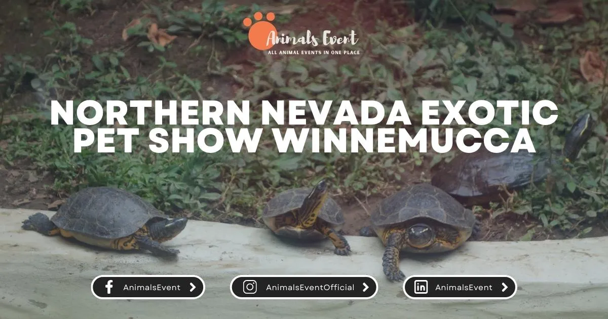 Northern Nevada Exotic Pet Show Winnemucca