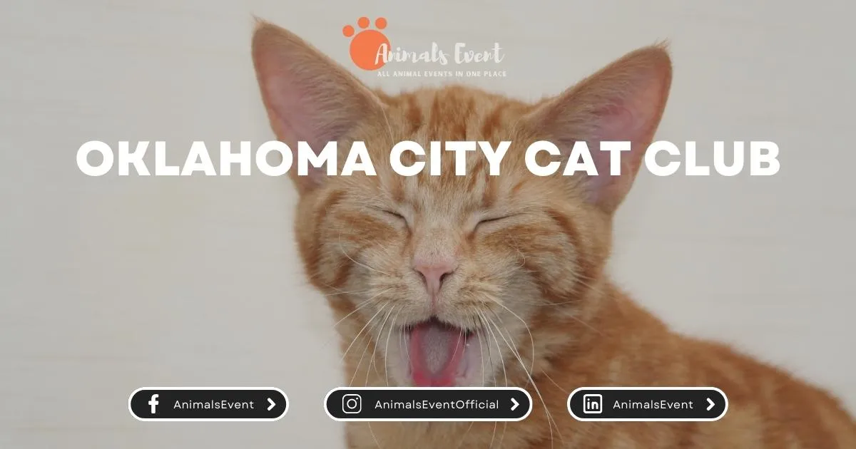 Oklahoma City Cat Club