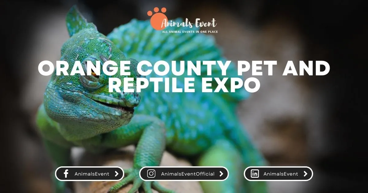 Orange County Pet And Reptile Expo Animals Event