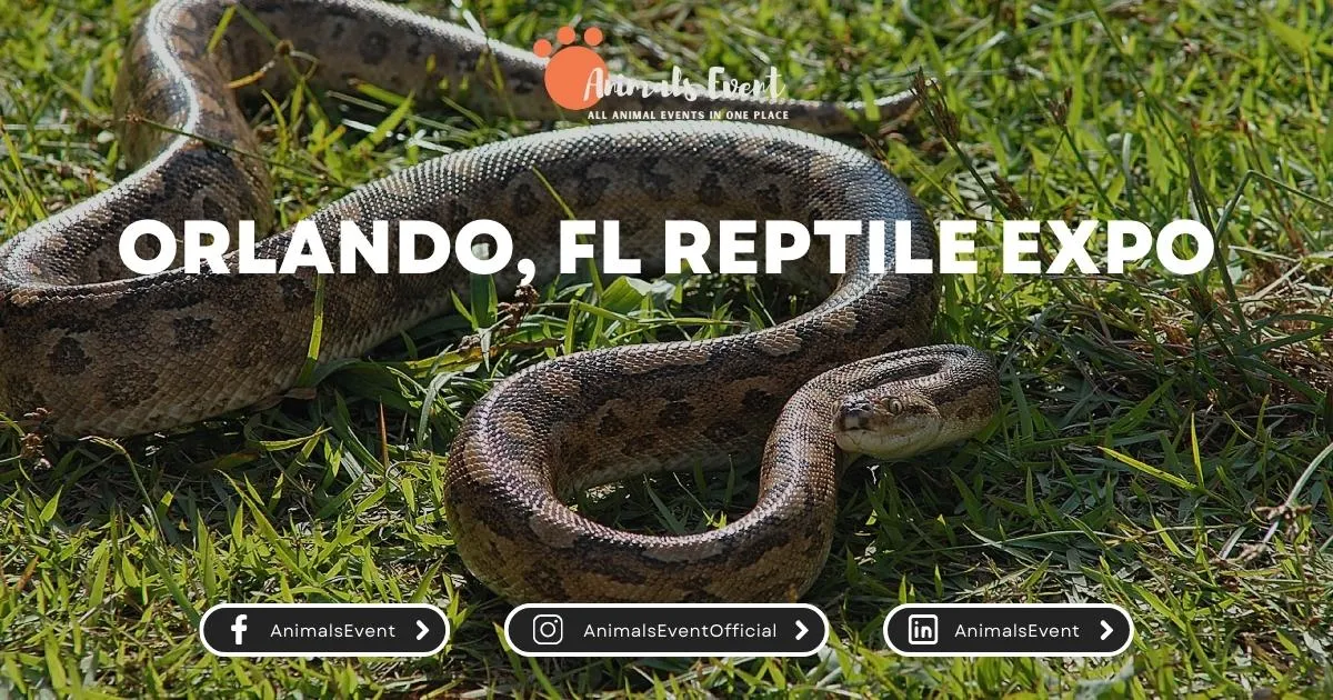 Orlando, FL Reptile Expo