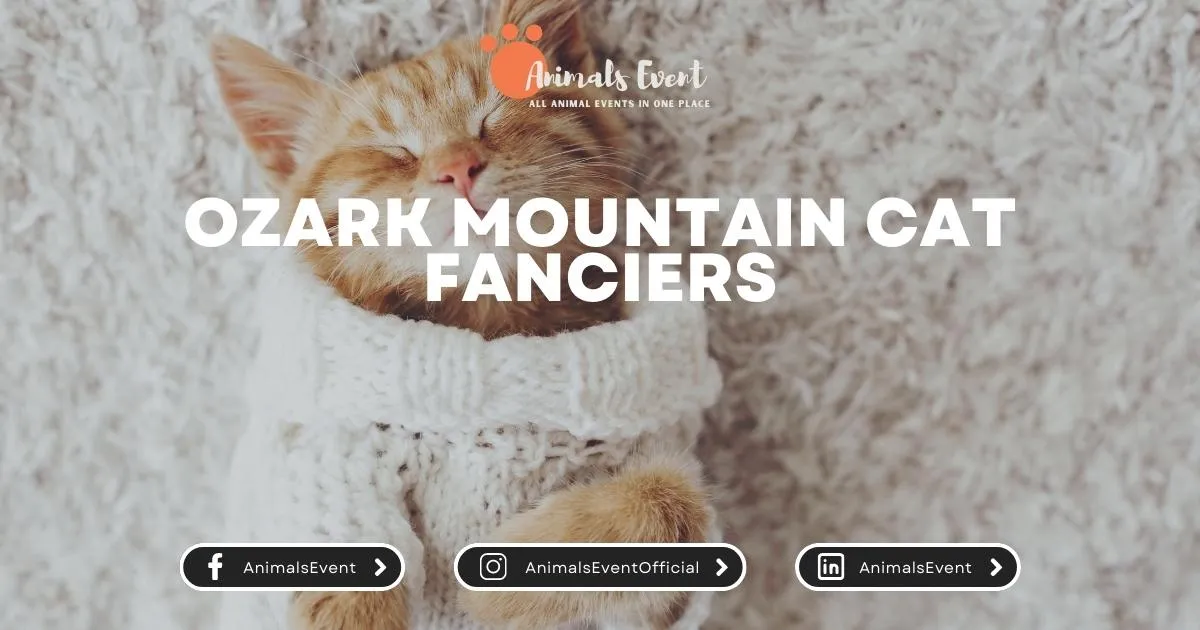 Ozark Mountain Cat Fanciers