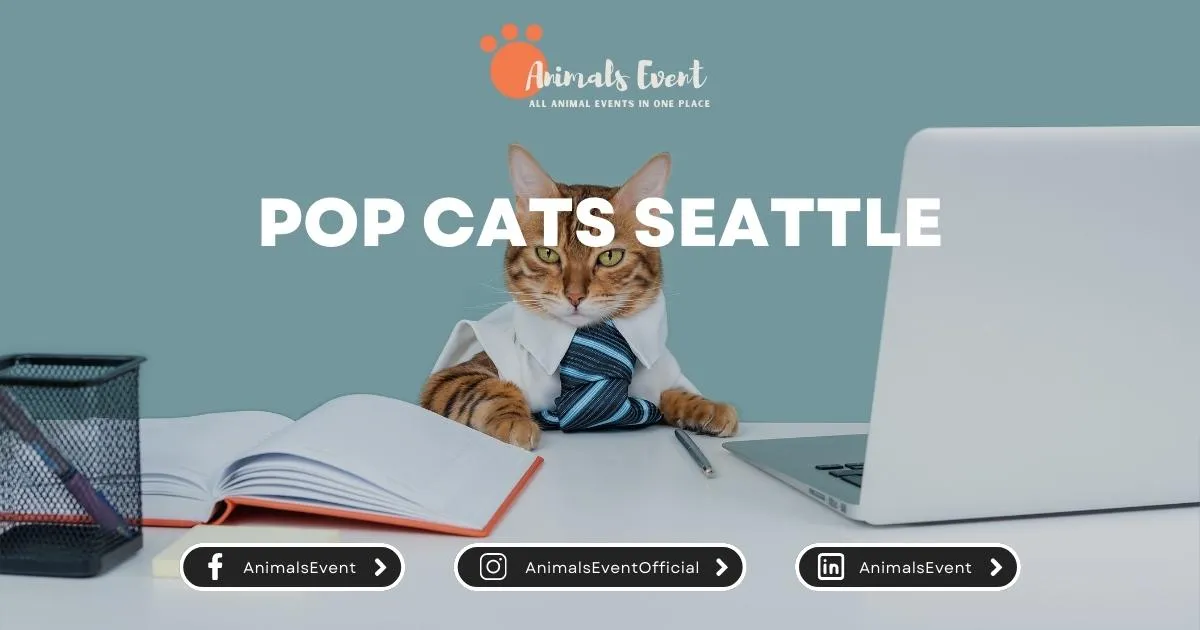 POP Cats Seattle