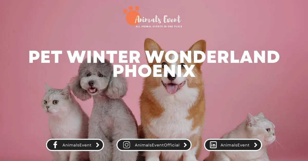 Pet Winter Wonderland Phoenix