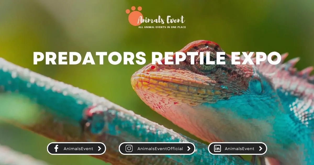 Predators Reptile Expo