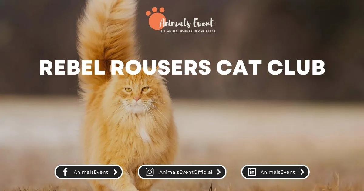 Rebel Rousers Cat Club