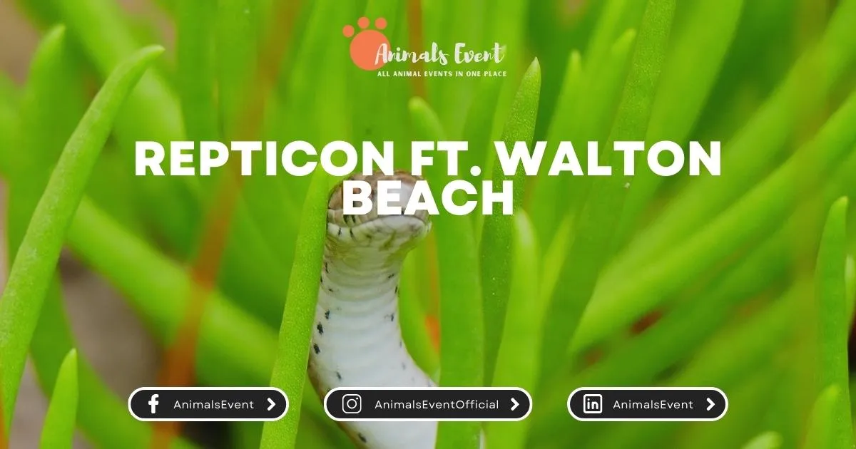 Repticon Ft. Walton Beach