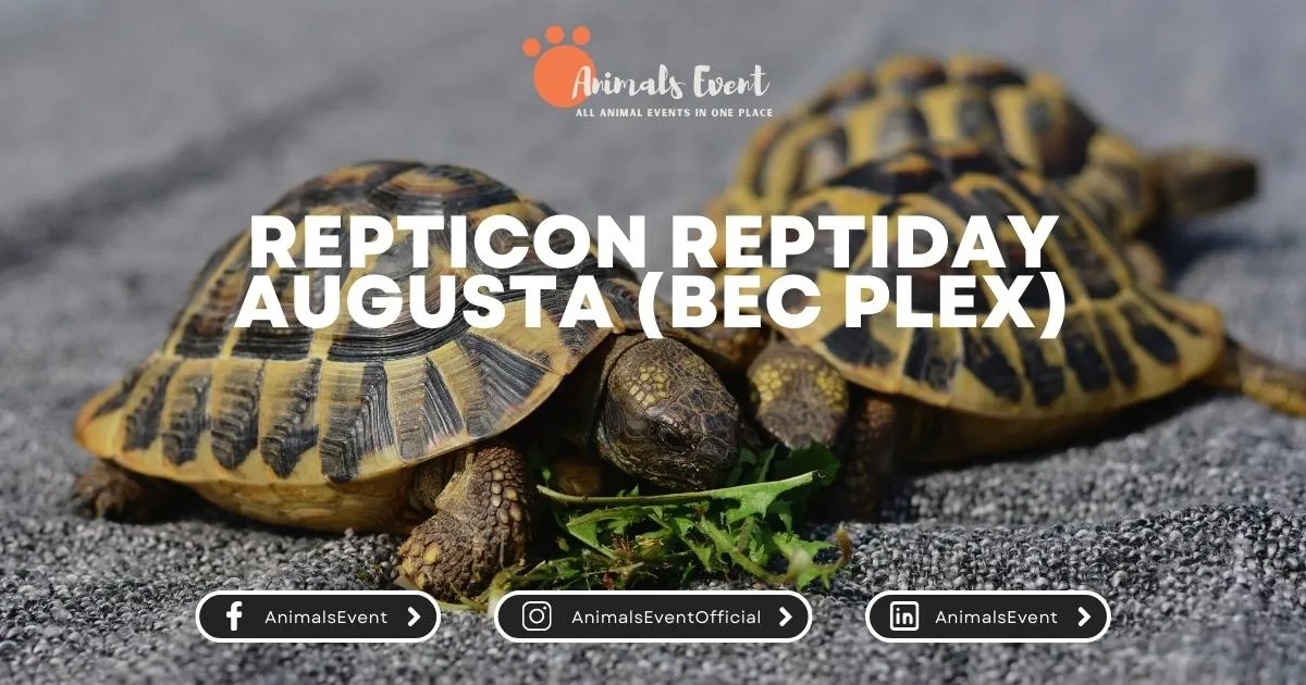 Repticon ReptiDay Augusta (BEC Plex)