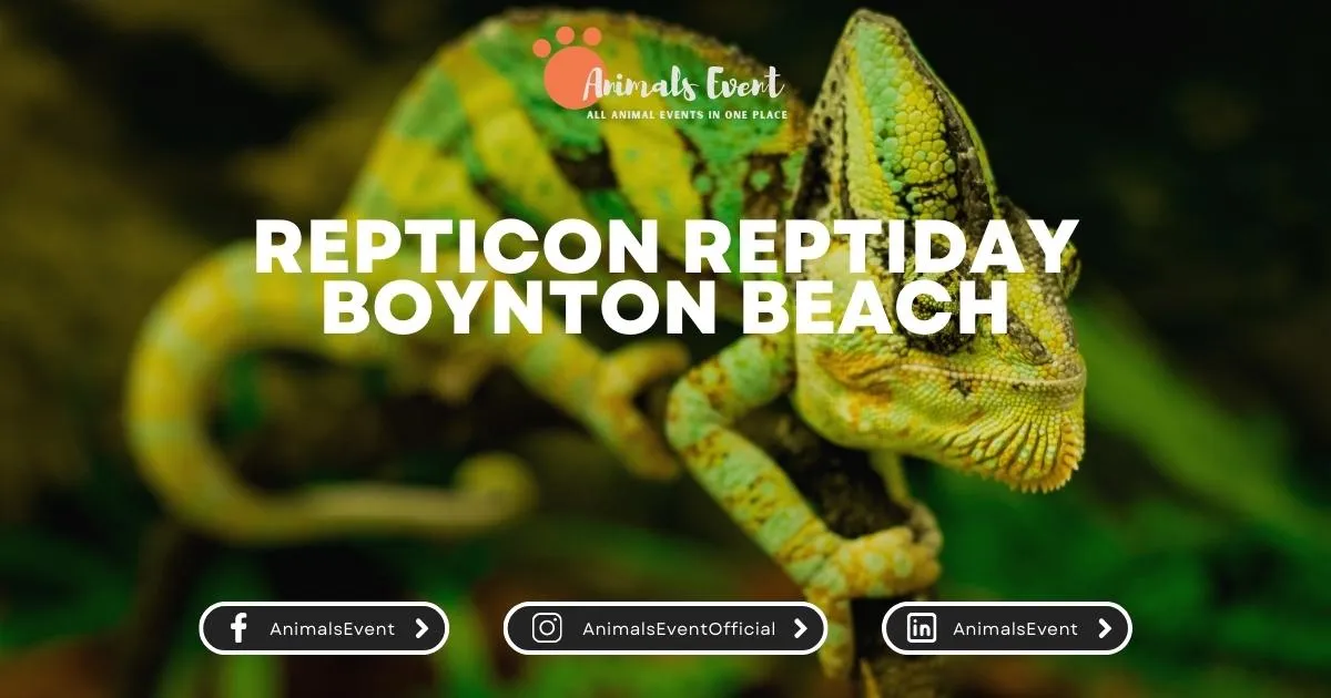 Repticon ReptiDay Boynton Beach