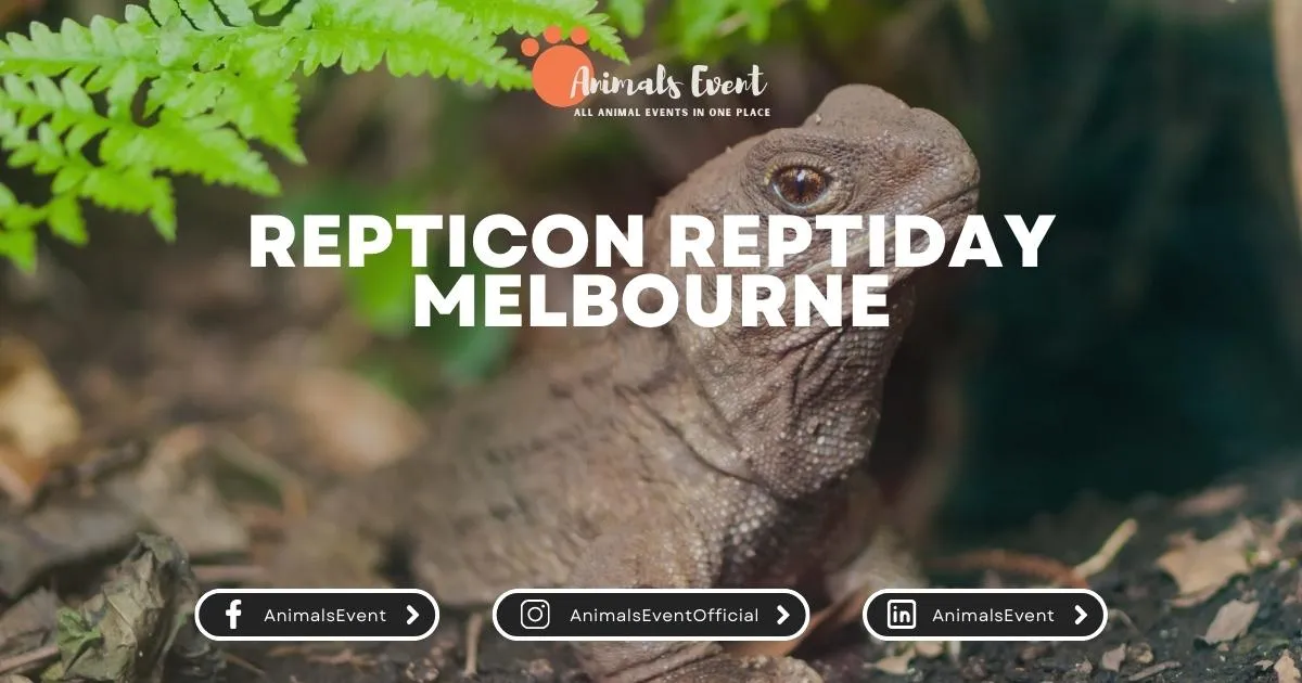 Repticon ReptiDay Melbourne