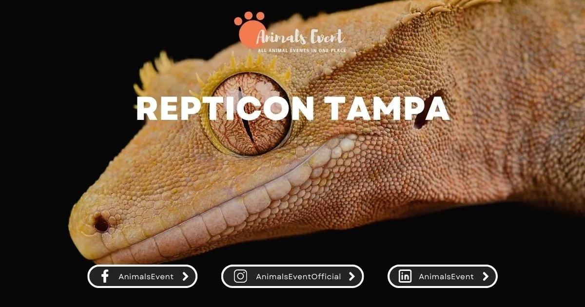 Repticon Tampa