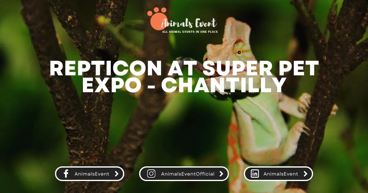 Repticon at Super Pet Expo - Chantilly