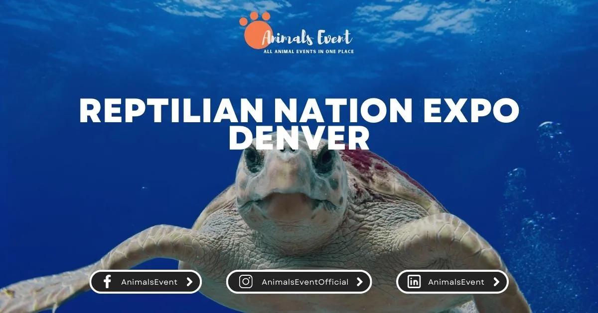 Reptilian Nation Expo Denver