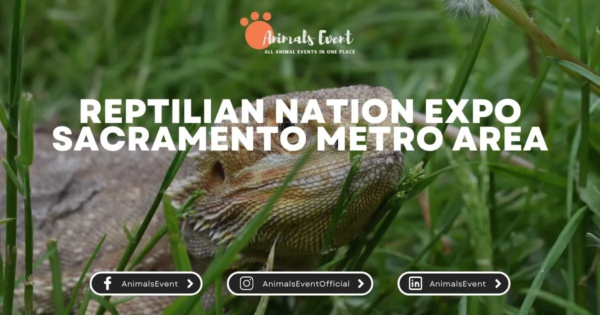 Reptilian Nation Expo Sacramento Metro Area