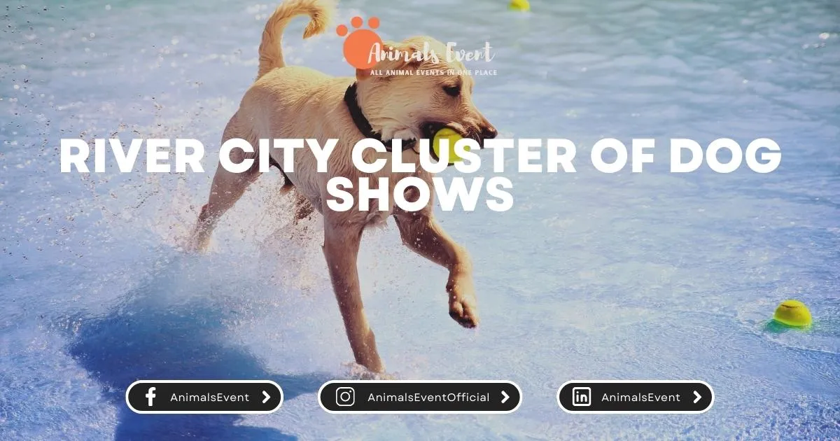River City Cluster of Dog Shows