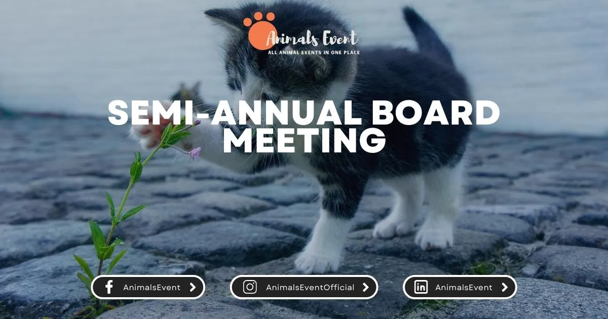 Semi-Annual Board Meeting