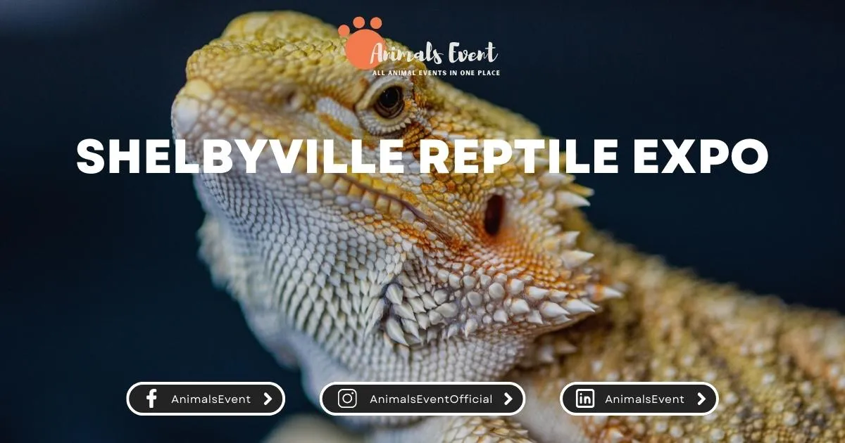 Shelbyville Reptile Expo