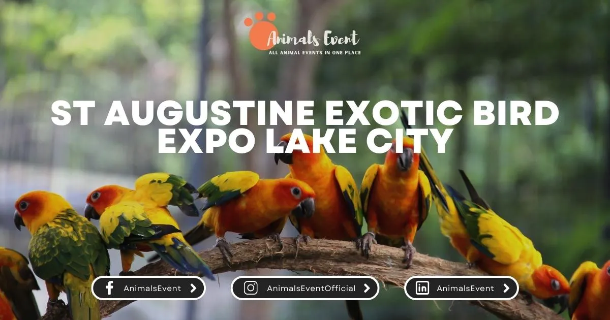 St Augustine Exotic Bird Expo Lake City