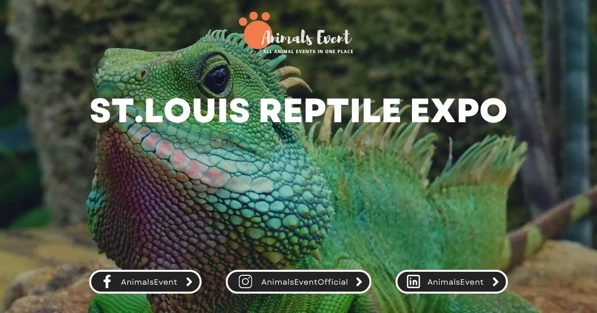 St.Louis Reptile Expo