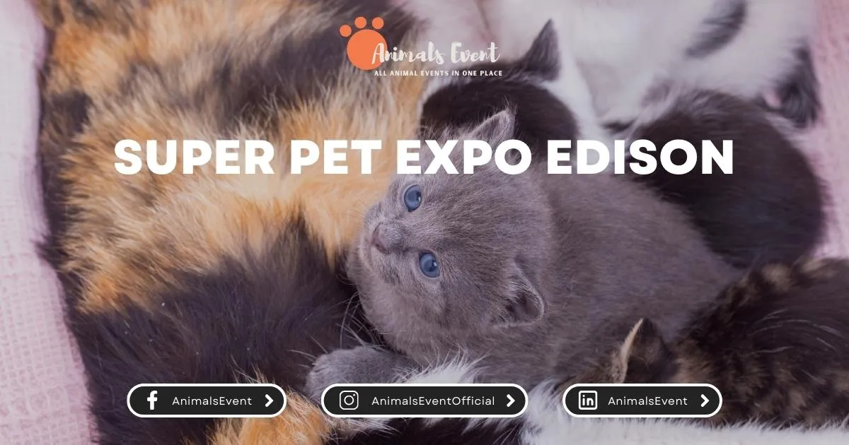 2024 Pet Expo And Animals Events New Jersey Animals Event