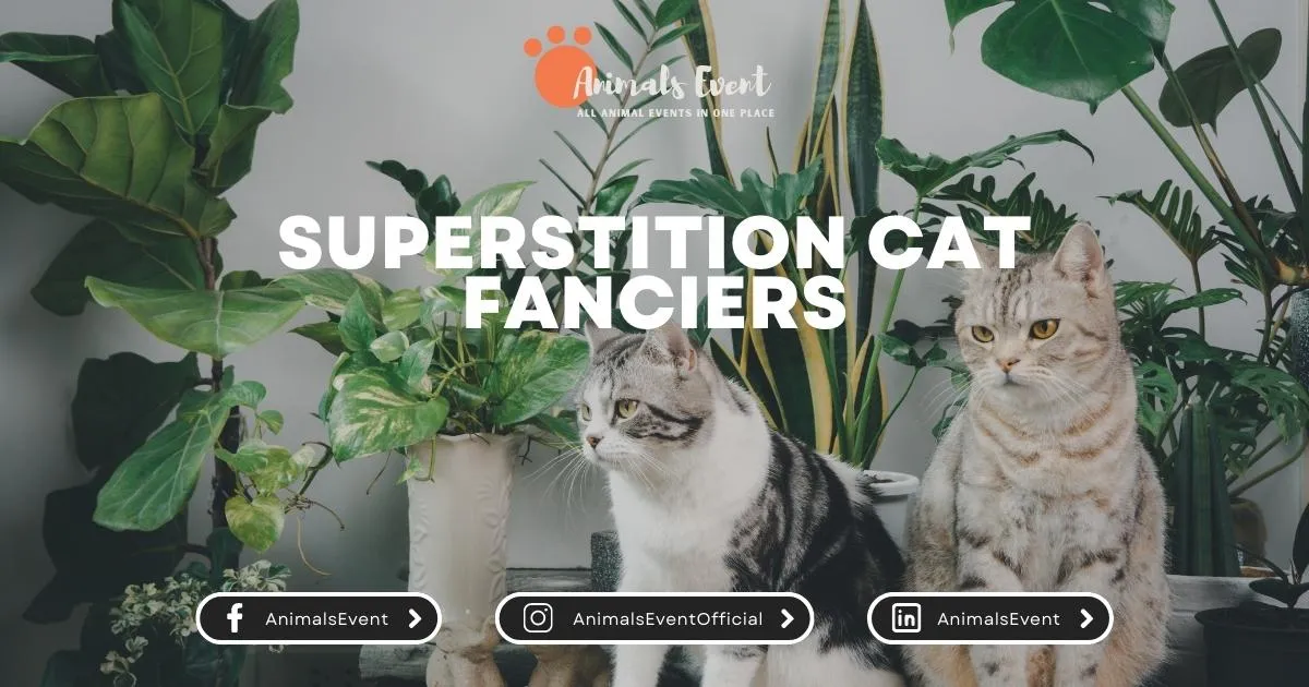 Superstition Cat Fanciers