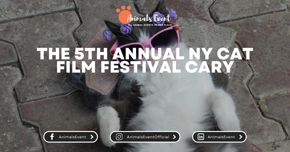 The 5th Annual NY Cat Film Festival Cary