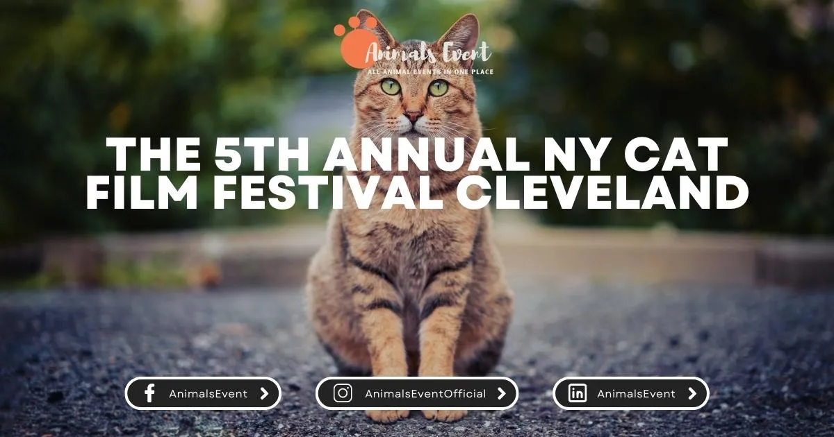 The 5th Annual NY Cat Film Festival Cleveland
