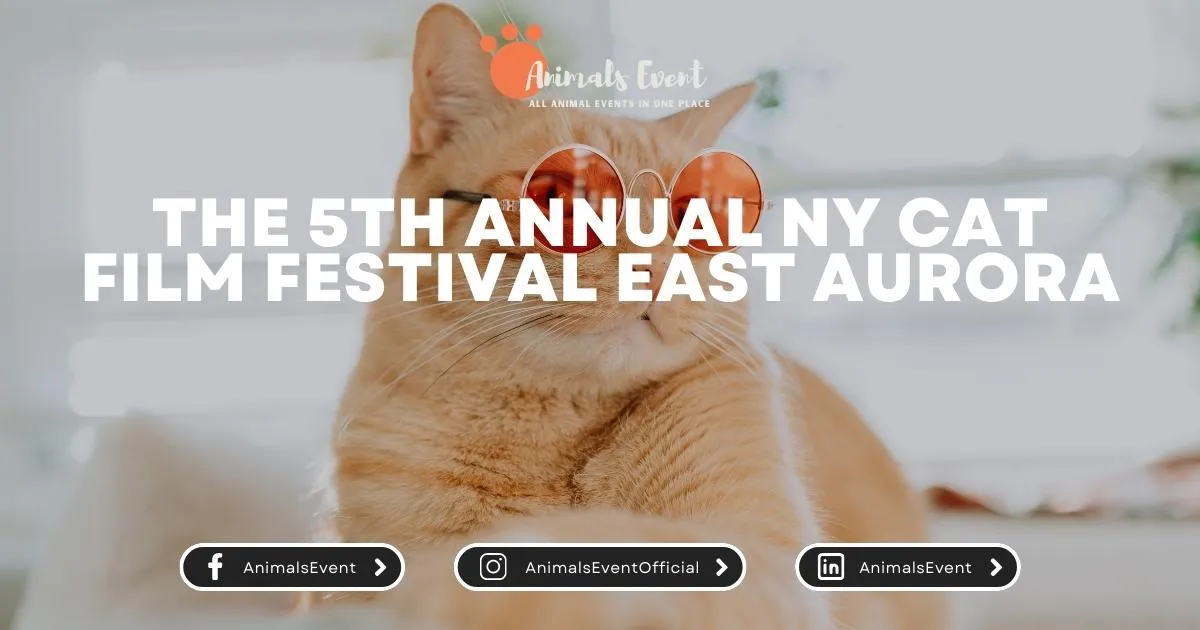 The 5th Annual NY Cat Film Festival East Aurora
