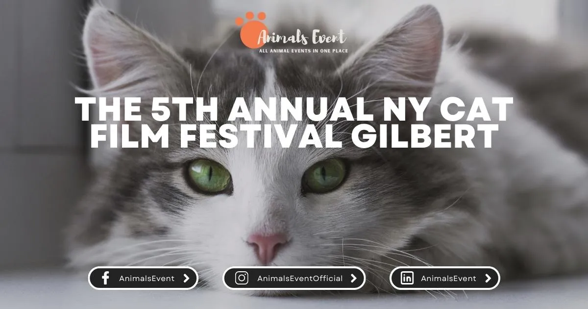 The 5th Annual NY Cat Film Festival Gilbert