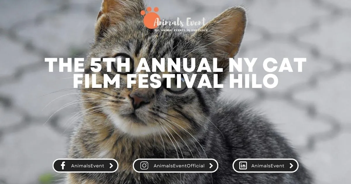 The 5th Annual NY Cat Film Festival Hilo