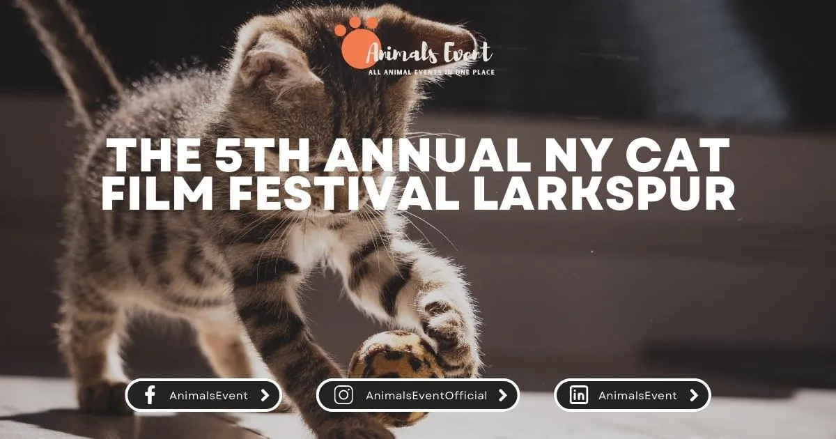 The 5th Annual NY Cat Film Festival Larkspur