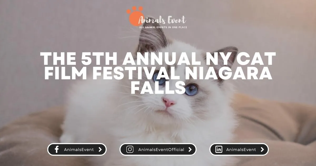 The 5th Annual NY Cat Film Festival Niagara Falls