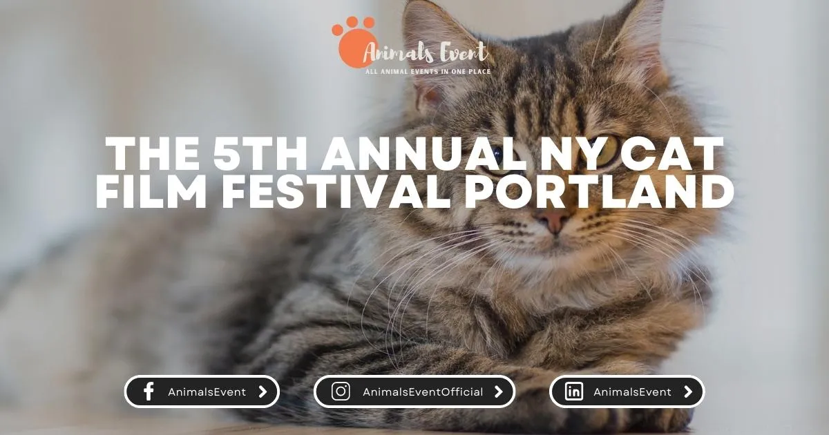 The 5th Annual NY Cat Film Festival Portland