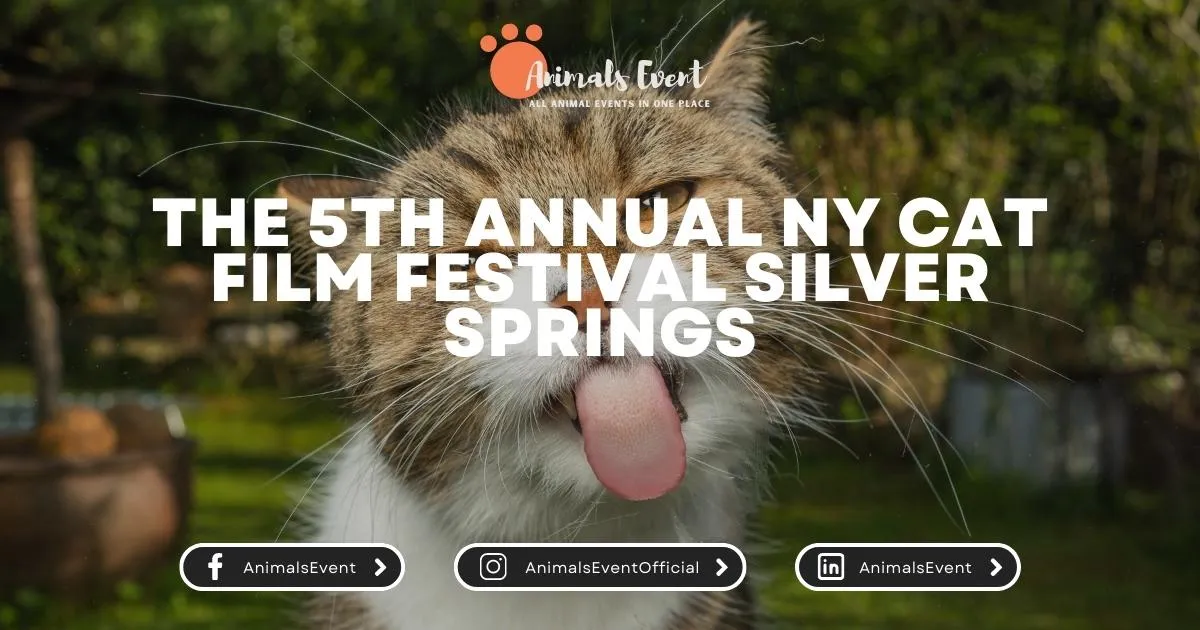 The 5th Annual NY Cat Film Festival Silver Springs
