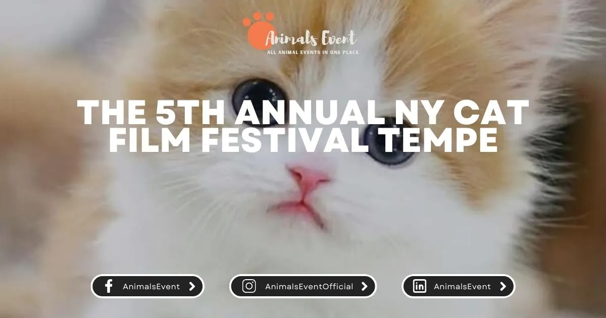 The 5th Annual NY Cat Film Festival Tempe