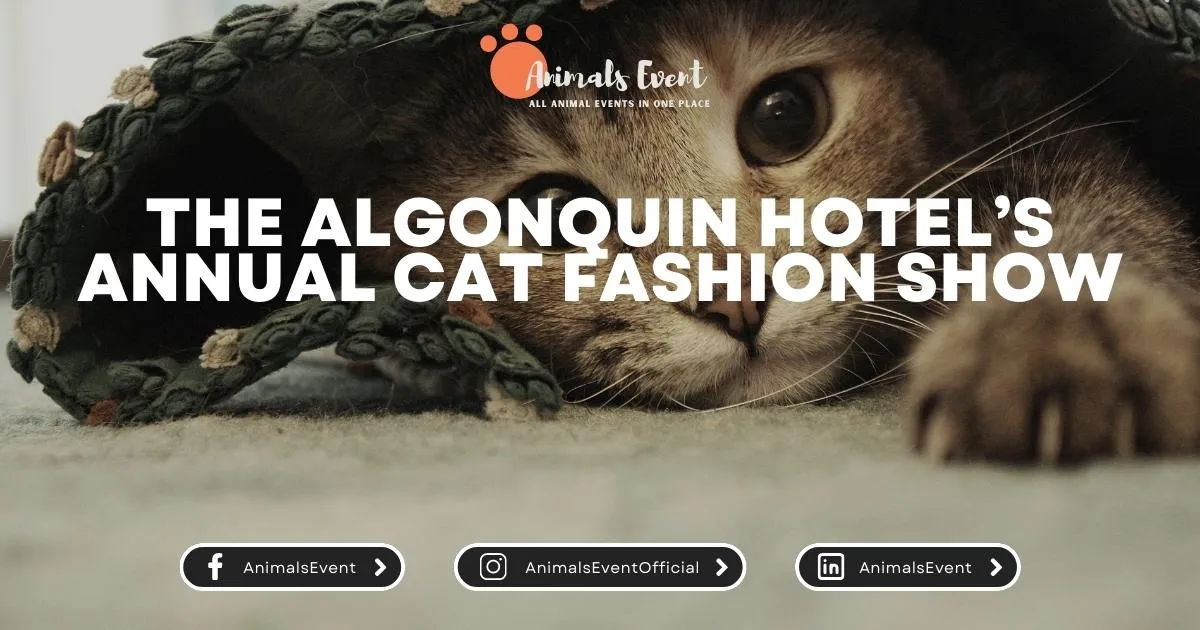 The Algonquin Hotel’s Annual Cat Fashion Show