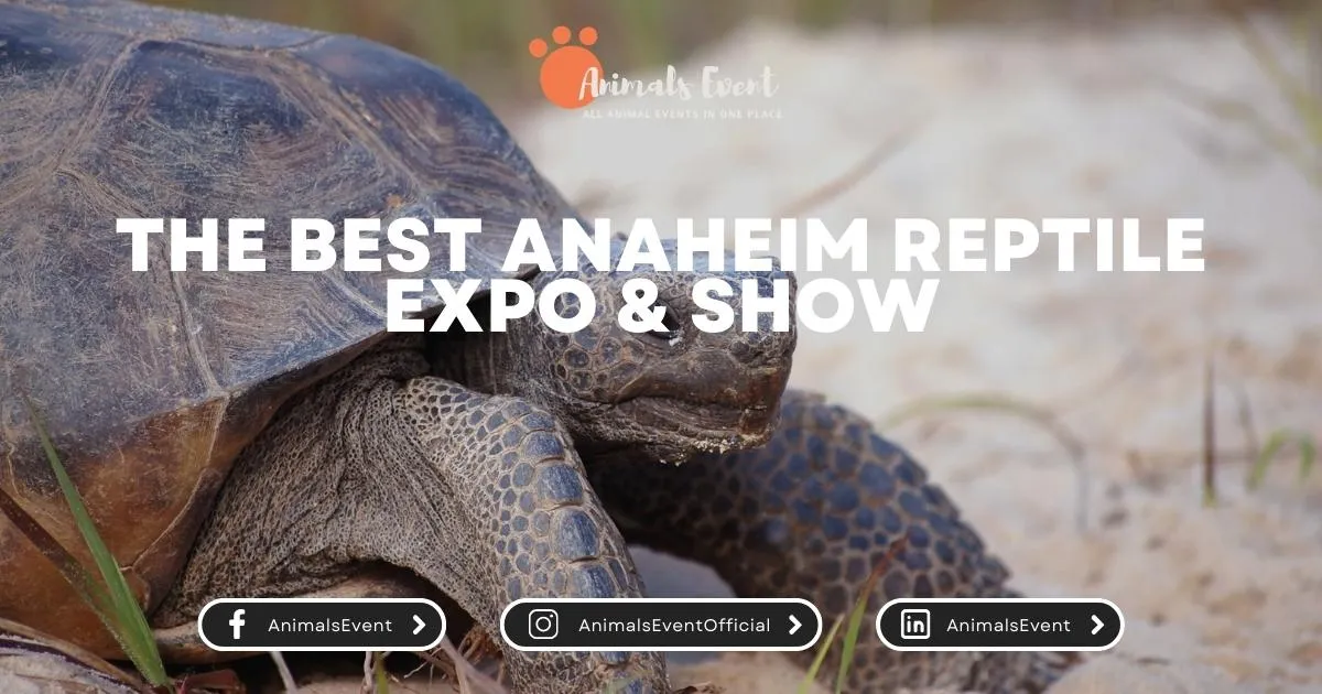 The Best Anaheim Reptile Expo & Show