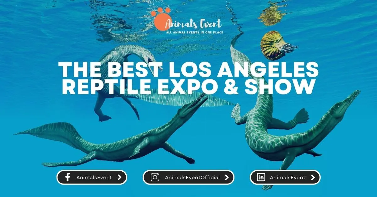 The Best Los Angeles Reptile Expo & Show